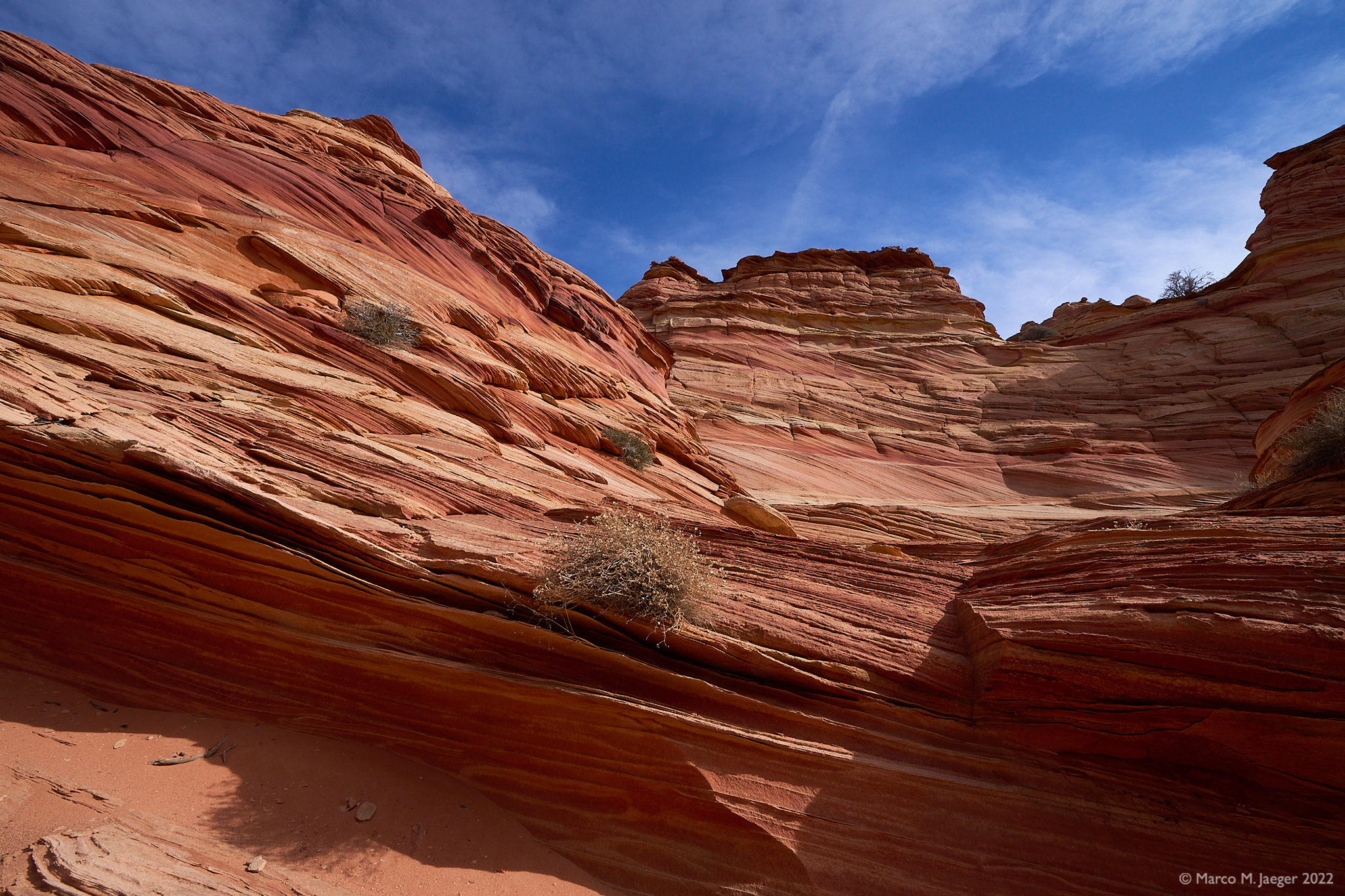 Our Nd Visit To Cottonwood Cove At Coyote Buttes South Jaeger S Blog