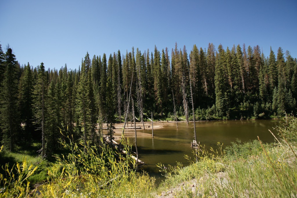 Wolfs Creek Pass and Great Sand Dunes – Jaeger's Blog