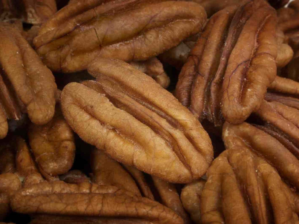 Pecan farm, Las Cruces, NM Jaeger's Blog